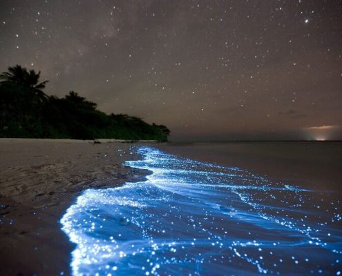 Maldive