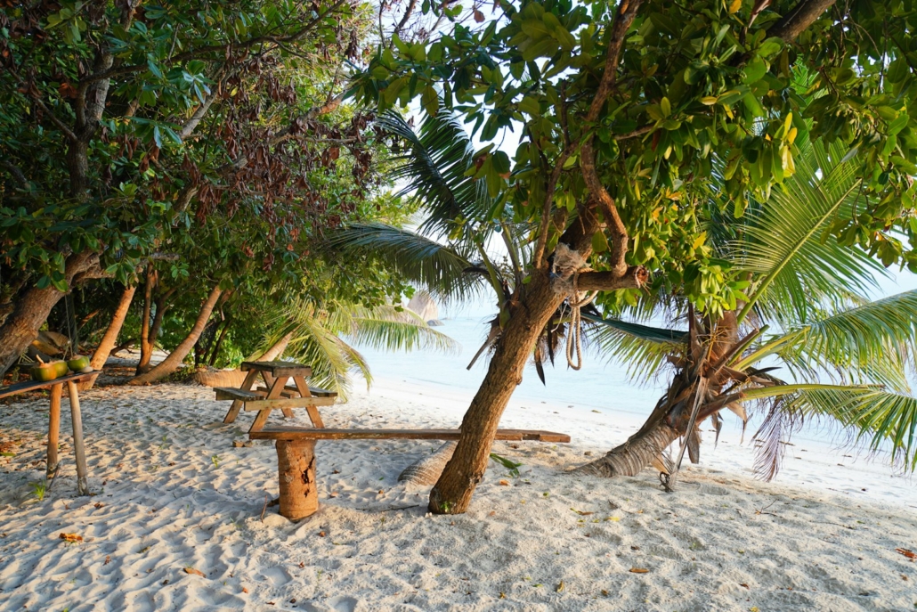 Plajă cu nisip alb și palmieri în Seychelles